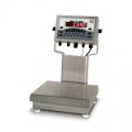Rice Lake CW-90 Over/Under Checkweigher