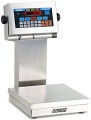 Doran 2200CW Checkweighing Scale