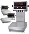 Rice Lake IQ plus 2100